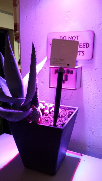 File:Glinet-gardenhack.jpg