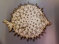 OpenBSD Puffy the blowfish