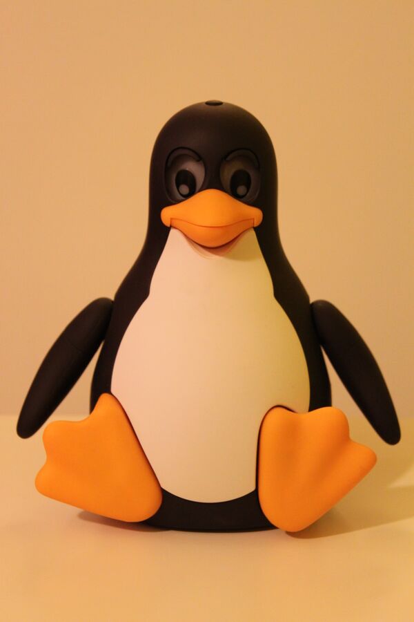 Tux Droid 1.jpg