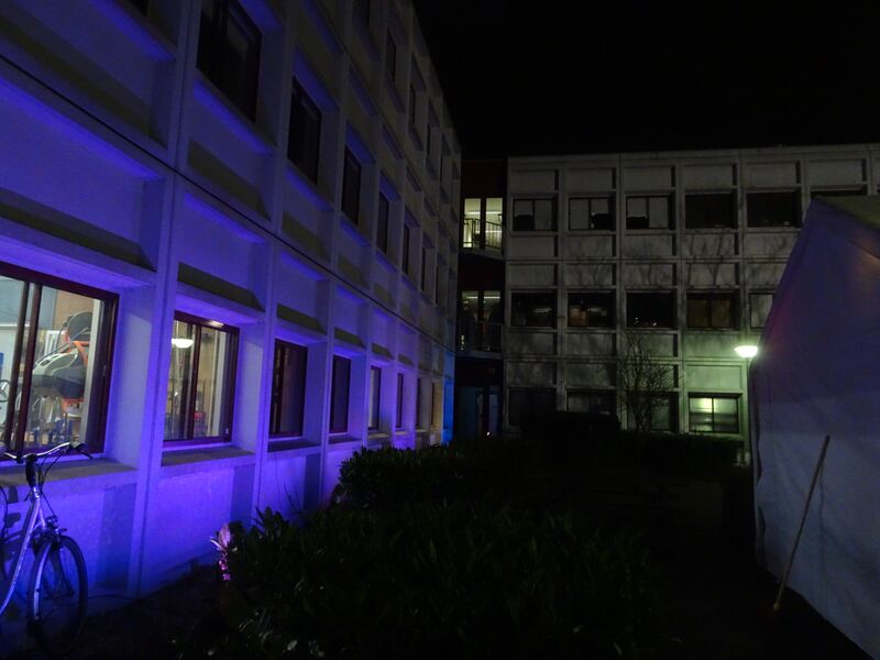 File:2020-01-24 213955 - DSC08594.jpg
