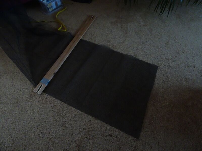 File:2020-02-13 170031 - DSC09231.jpg