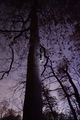 Thumbnail for version as of 08:16, 28 April 2013