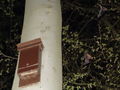 Thumbnail for version as of 08:16, 28 April 2013
