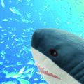Thumbnail for version as of 16:31, 13 July 2020