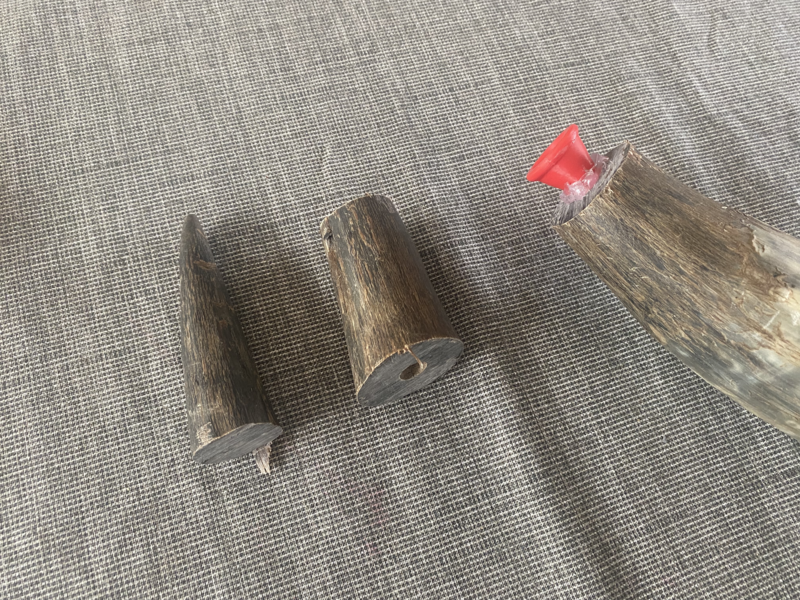 File:Water buffalo horn tips and mouthpiece in place.png