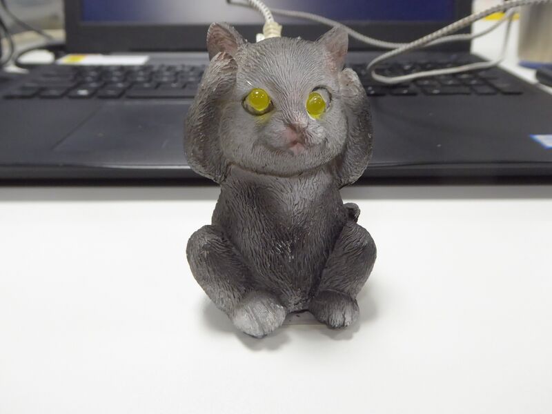 File:P1050783.jpeg