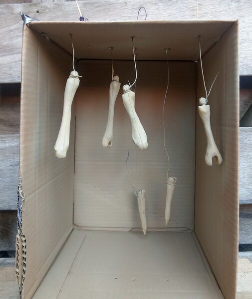 File:Project2.jpg