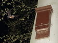 Thumbnail for version as of 08:16, 28 April 2013